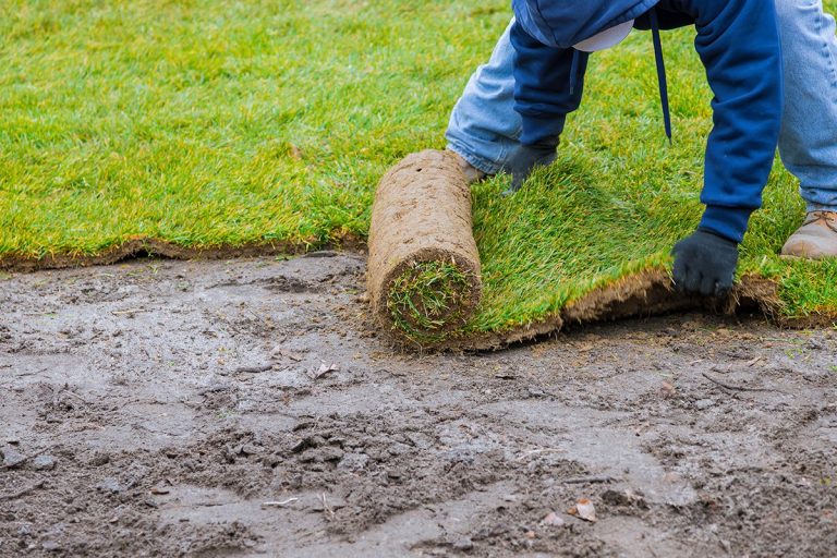 Roll on Turf Lawn Installation in Warwickshire